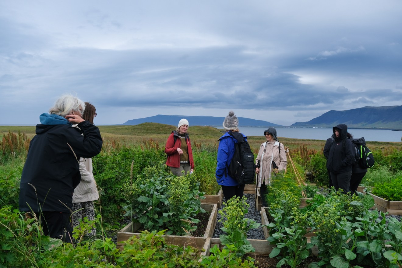 Kvennaborðið's visit to Viðey island!
